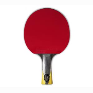 Купить Теннисная ракетка Gambler balsa knight big gun в Куйбышеве 